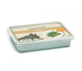 Beeztees Trawa dla kotów w plastikowej misce 130g