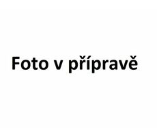 Einhell 4173851 filtr przepływowy 25 cm / sprzedaż
