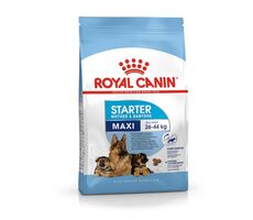 Royal Canin Maxi Starter Mother & Babydog - Drób i Ryż 4 kg / Granulat dla suk i szczeniąt / od 26 do 44 kg 