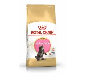 Royal Canin Maine Coon Kitten 4 kg / Granulat dla kotów 
