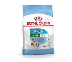 Royal Canin Mini Starter Mother & Babydog Adult Drób 1 kg / Granulat dla psów / dla suk i szczeniąt