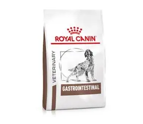 Royal Canin Veterinary Diet Dog Gastrointestinal 2 kg / Granulat dla psów / Dieta na problemy jelitowe