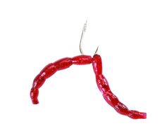 Berkley Gumowa przynęta Powerbait Power Micro Blood Worms