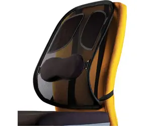 Oparcie Fellowes Professional Mesh w kolorze czarnym