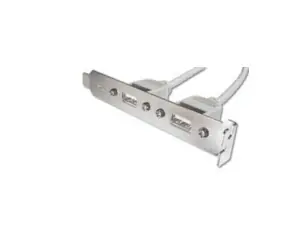 Zaślepka gniazda Digitus z 2 portami USB / kablem 2x5pin 0,25m