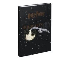 BAAGL Tablice do zeszytów szkolnych A4 Harry Potter Herb Hogwartu / 29x43 cm