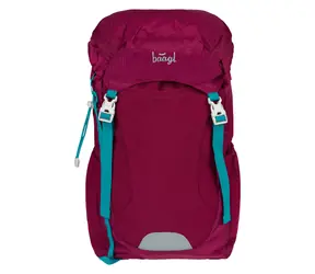 Plecak BAAGL Tracker Roj / 14 l / odpowiedni od 3 klasy 