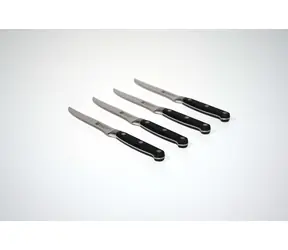 Sprzedam Zwilling Professional S Zestaw 4 noży do steków / długość ostrza 12 cm / 4 szt. /