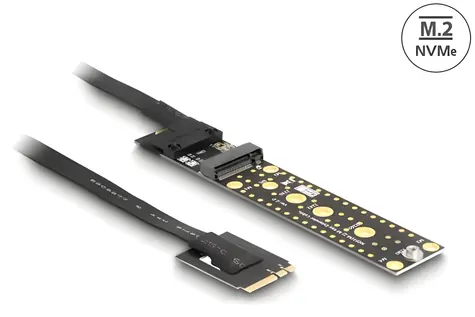 DeLock / Adapter M.2 Key A+E męski - M.2 Key M slot / kabel 20 cm