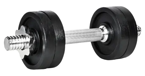 RULYT Angular 4× disc / Hantel jednoręczny / 8 kg / sztanga 30 mm