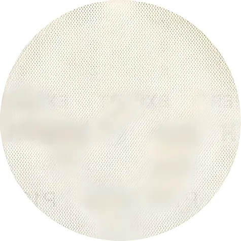 BOSCH Expert M480 2608900700 / Papier ścierny / 150 mm / Ziarnistość K120 / 50 szt.