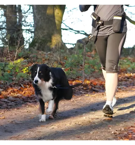 TRIXIE Szelki Hands Free ze smyczą sprężynową / Szelki i smycz / Trekking dla psów / do 40 kg / 100-135 cm