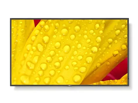 65" NEC MultiSync M651-2 / Wyświetlacz wielkoformatowy / IPS / 4K UHD / 500 cd/m2 / DP / HDMI