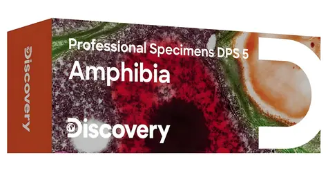 Discovery Prof Specimens DPS 5 / Zestaw gotowych okazów / Płazy