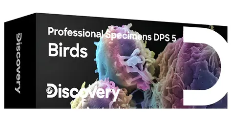 Discovery Prof Specimens DPS 5 / Zestaw gotowych okazów / Ptaki