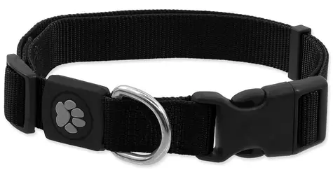 Obroża Active Dog Premium czarna XS / Dla psów / Nylon / 21-30 cm