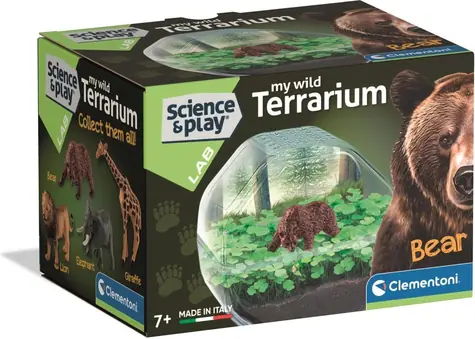 Clementoni Mini terrarium Miś / Zestaw kreatywny