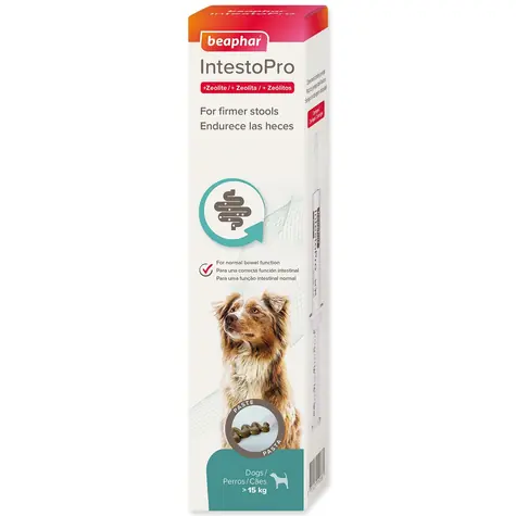 Beaphar Pasta IntestoPro L dla dużych psów 2x 20ml
