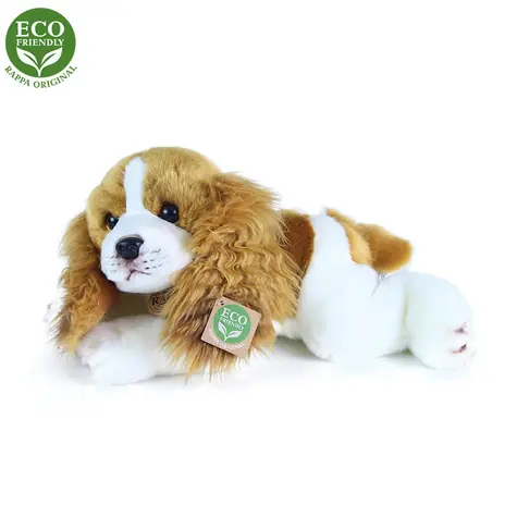 Rappa Pluszowy pies Cavalier King Charles Spaniel leżący 30 cm / EKOLOGICZNY / od 0 miesiąca