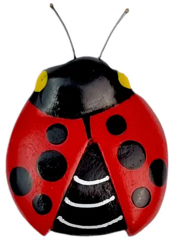 2 zabawki dla dzieci duży drewniany magnes biedronka