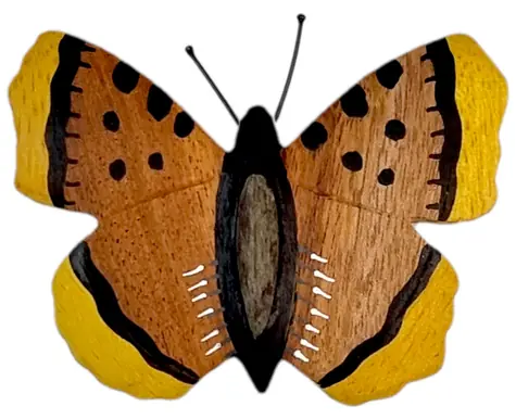 2Kids Toys Drewniany magnes duży motyl