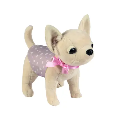 DeCuevas Chihuahua Dog DIDI 2021 / od 3 lat