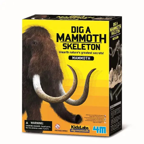 Szkielet 4M - Mamut / od 8 lat