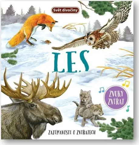 Svojtka & Co. Wild World Forest / od 3 lat