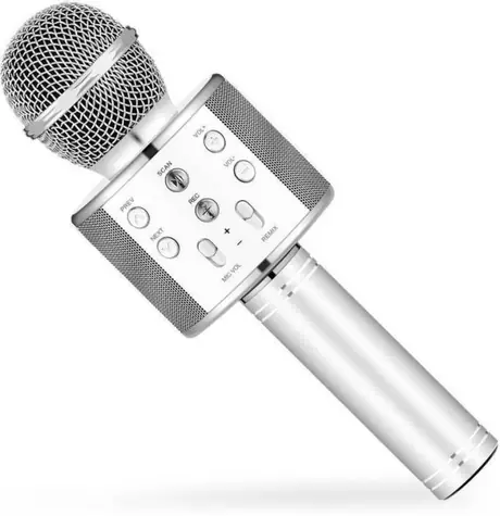 Eljet Mikrofon do karaoke Globe srebrny