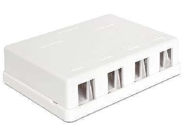 DeLock Keystone Box, 4-portowy / montowany na ścianie