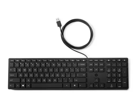 Klawiatura HP 320K czarna / przewodowa / USB / układ CZ-SK / 1,8 m