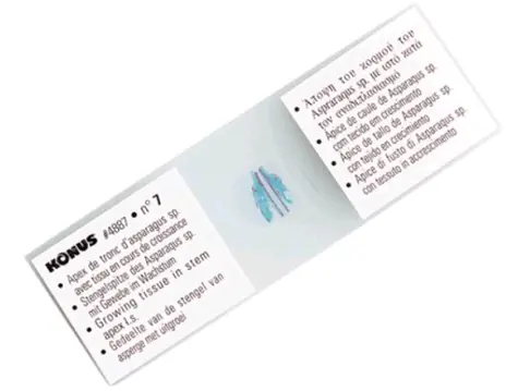 Konus Zestaw próbek mikroskopowych - Świat w kropli wody (10 szt.) / 10 różnych obrazków 