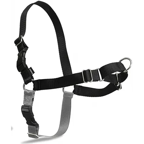 Szelki PetSafe EasyWalk czarne - rozmiar L