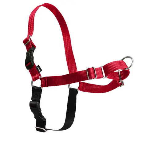 Szelki PetSafe EasyWalk czerwone, rozmiar M
