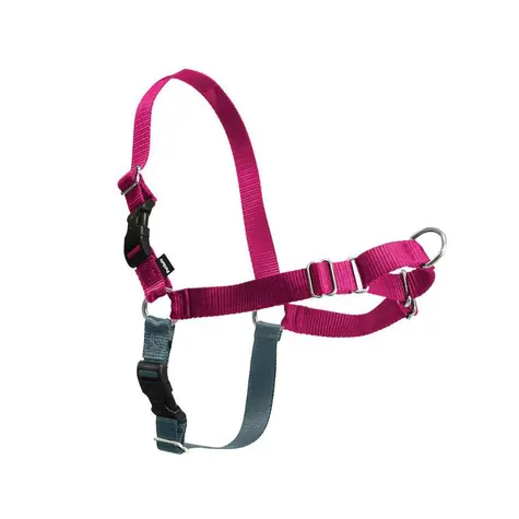 Szelki PetSafe EasyWalk malinowe - rozmiar M