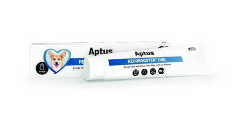 Aptus Recobooster Dog 100g / Smaczna pasta uzupełniająca energię