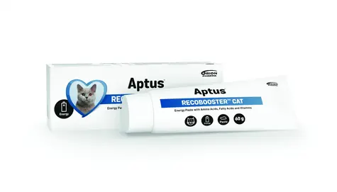 Aptus Recobooster dla kota 60g 