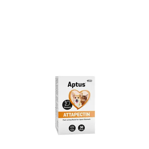 Aptus Attapectin 30 tabletek (na trawienie) 