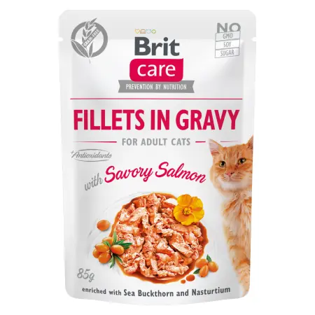 Brit Care Filety dla kota w sosie z pikantnym łososiem 85 g / Saszetki dla kotów