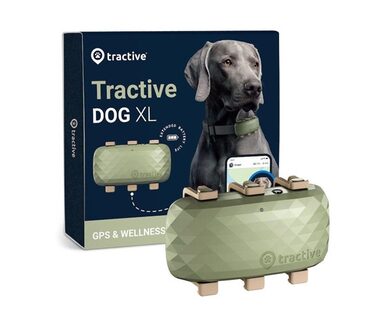 TRACTIVE GPS DOG XL Lokalizacja GPS i śledzenie aktywności dla psów green
