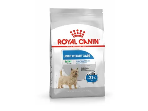 Royal Canin Mini Dental Care 3kg / Granulat dla psów