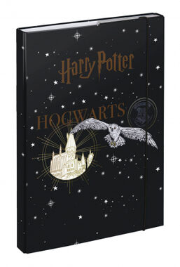 BAAGL Tablice do zeszytów szkolnych A4 Harry Potter Herb Hogwartu / 29x43 cm