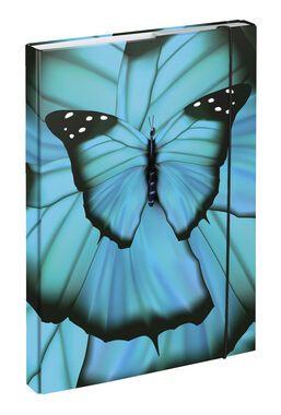 BAAGL Tablice na zeszyty szkolne A4 Motyl / 23x32x3 cm