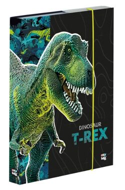 Pudełko na notatnik OXYBAG A5 Premium Dinozaur