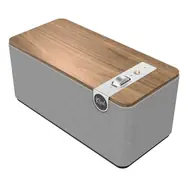 Klipsch The One PLUS brązowy / głośnik Bluetooth / 60 W / BT 5.3 / gniazdo 3,5 mm