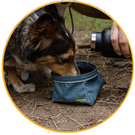 Miska pro psa Ruffwear Great Basin™