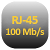 Ikona interfejsu sieciowego RJ-45 z prędkością transmisji 100 Mb/s