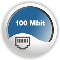 Ikona portu sieciowego RJ45 z prędkością 100 Mbit – parametr interfejsu sieciowego
